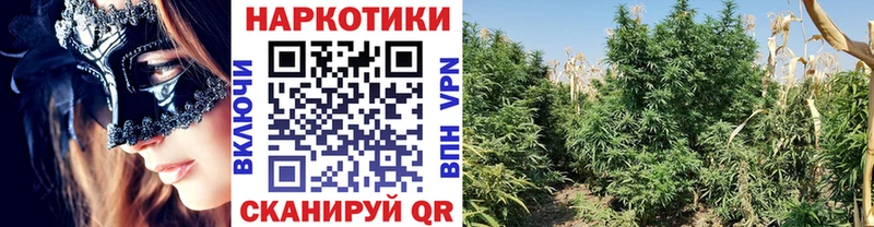 Какие есть наркотики Вятские Поляны Галлюциногенные грибы Alpha-PVP ГАШ Амфетамин КОКАИН Меф Марихуана