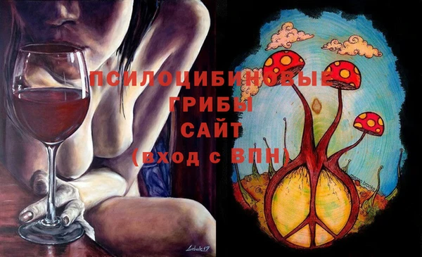 твердый Балахна