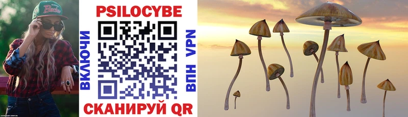 hydra ссылка  магазин    Вятские Поляны  Галлюциногенные грибы GOLDEN TEACHER 